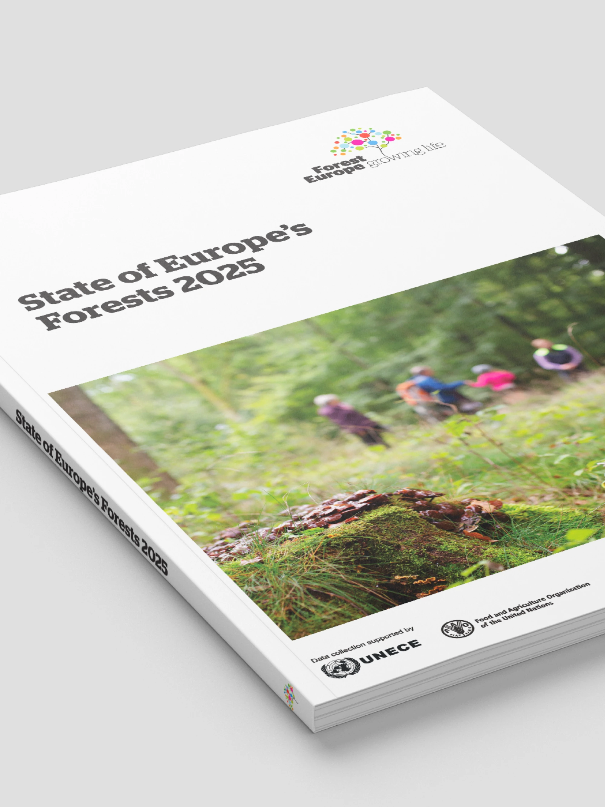 Forest Europe: State of Europe's Forests 2025